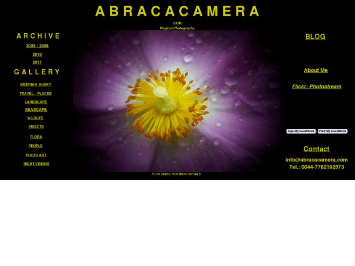 www.abracacamera.com