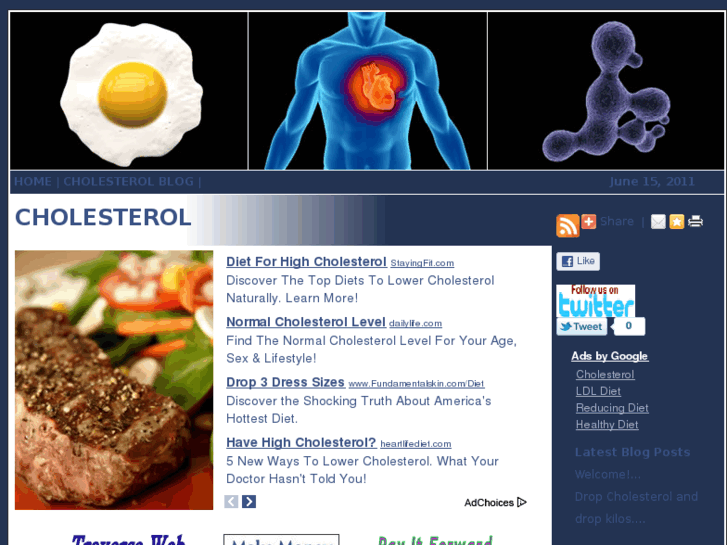 www.cholesterolweb.info