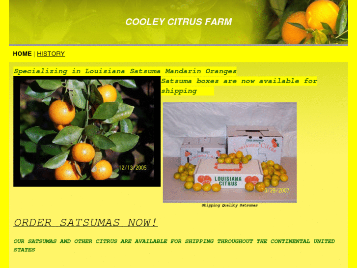 www.cooleysatsuma.com