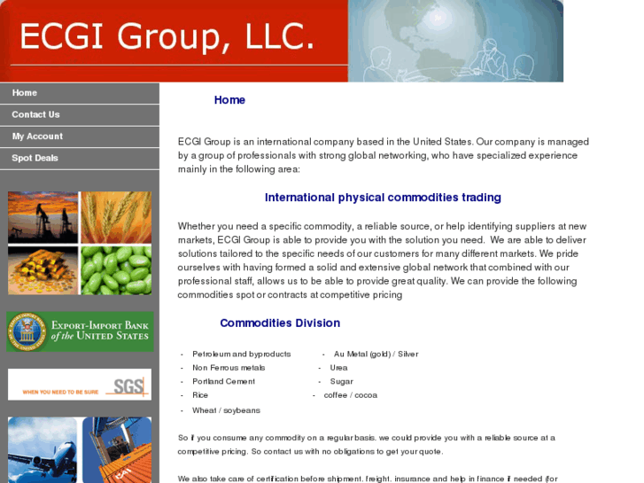 www.ecgigroup.com