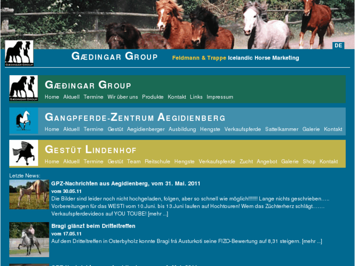 www.gaedingargroup.de