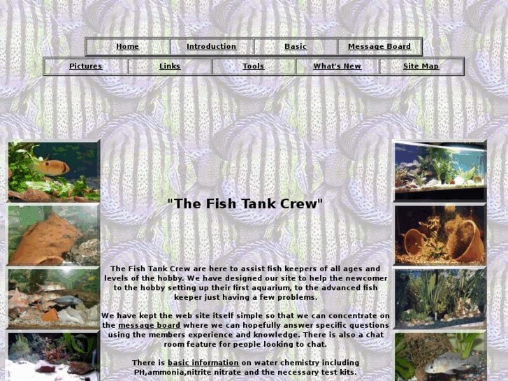 www.kimsfish.net