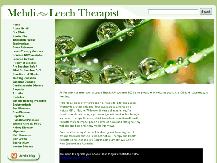 www.leechestherapy.com