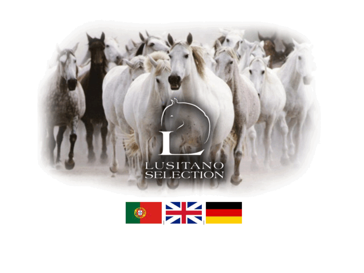 www.lusitano-selection.com