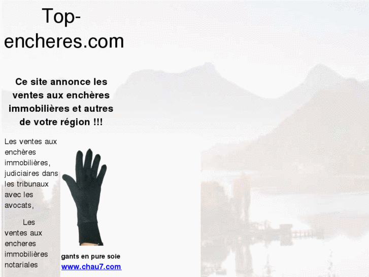 www.top-encheres.com