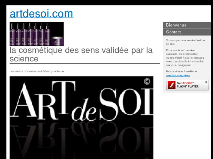 www.artdesoi.com