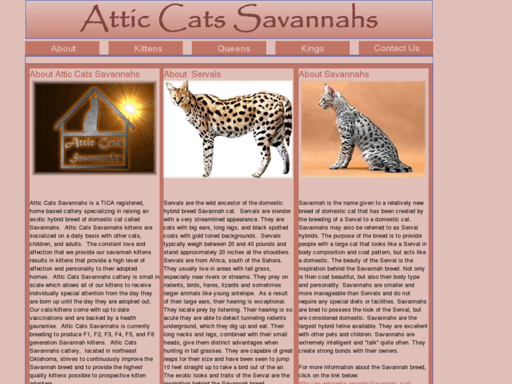 www.atticcatssavannahs.com