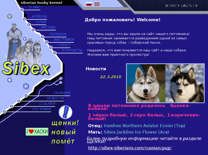 www.sibex-siberians.com