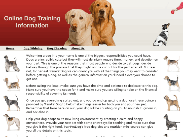 www.trainpetdogonline.com