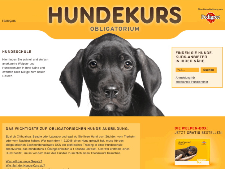 www.welpen-und-hundeschule.ch