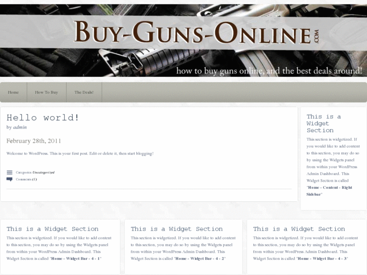 www.buy-guns-online.com