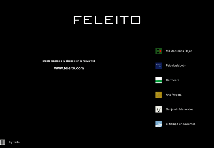 www.feleito.com