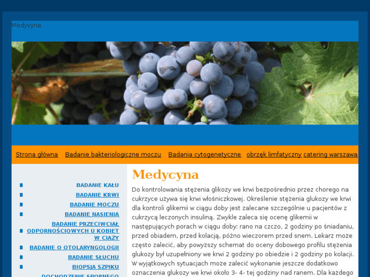 www.medycynanaturalna24.info