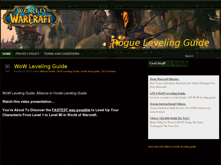 www.roguelevelingguides.com