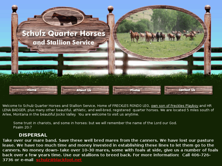 www.schulzquarterhorses.com