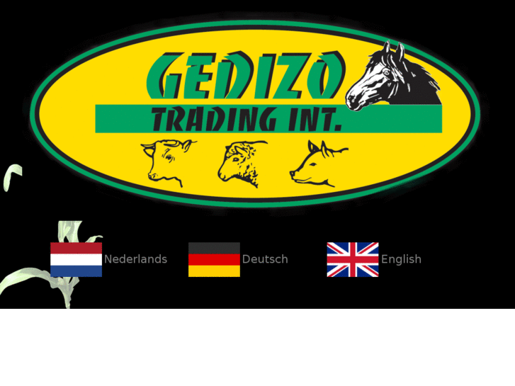 www.gedizo.com