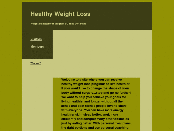 www.healthy-weight-now.com