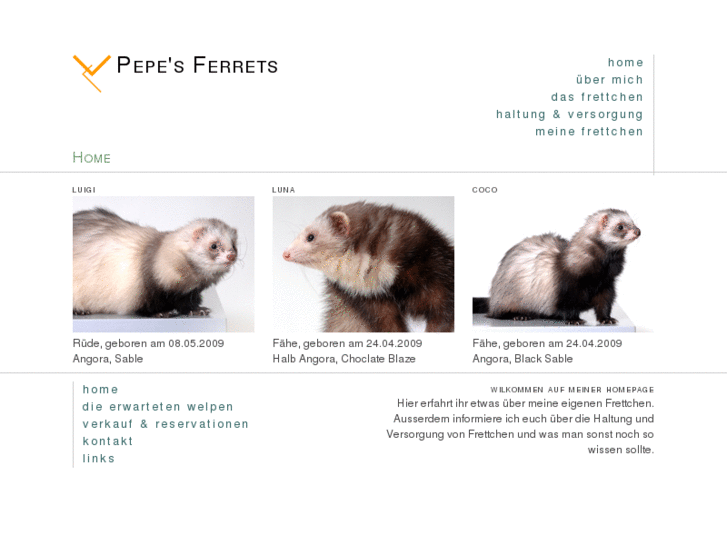 www.pepesferrets.com