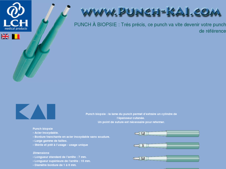 www.punch-kai.com