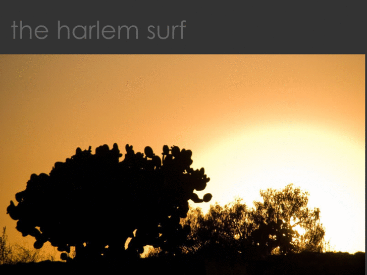 www.theharlemsurf.net