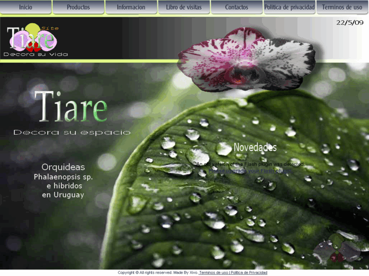 www.tiaresite.com