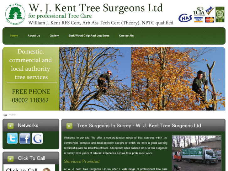 www.treesurgeonscroydon.com