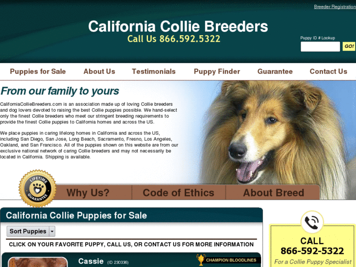 www.californiacolliebreeders.com