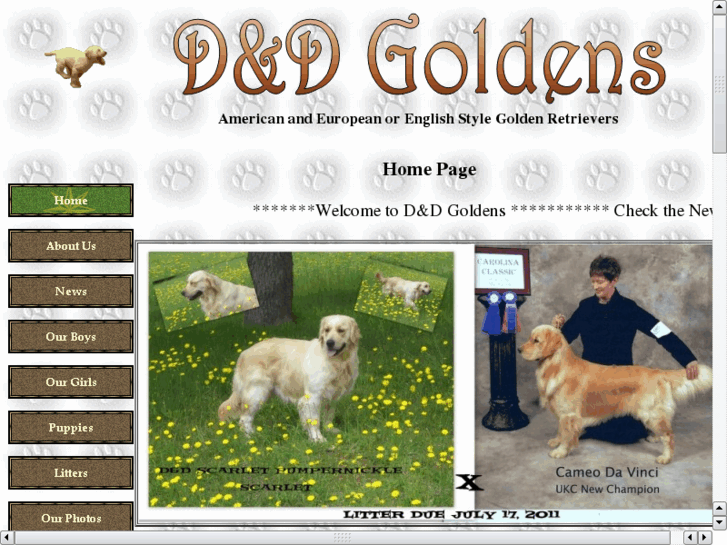 www.ddgoldens.com