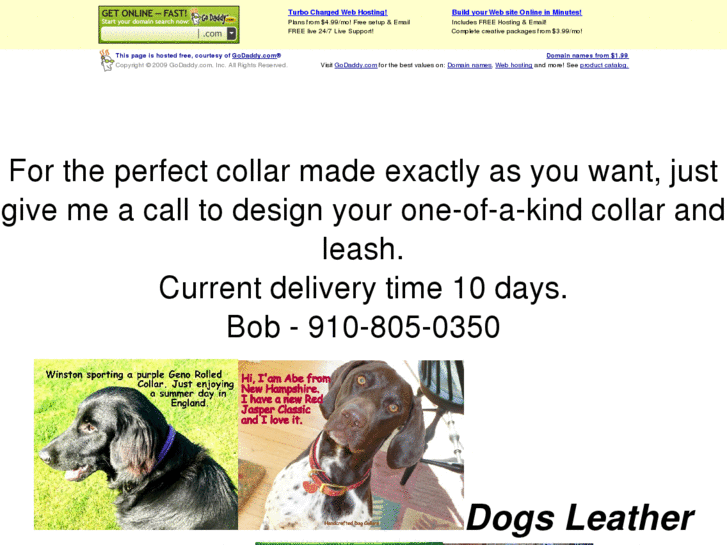 www.dogsleathercollars.com