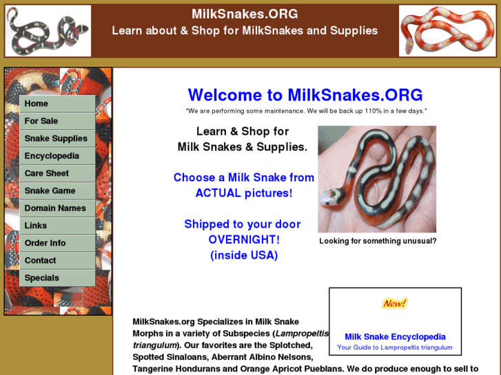 www.milk-snake.com