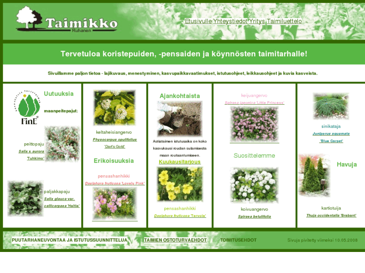 www.taimikko.com