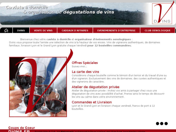 www.dvins.fr