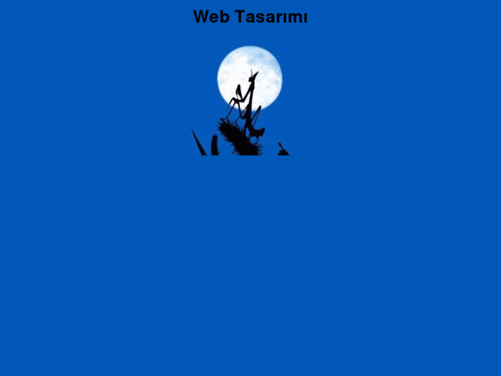www.webtasarimi.biz
