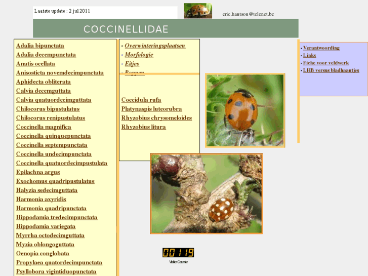 www.coccinellidae.be