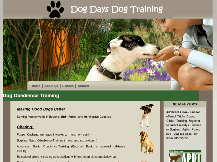 www.dogdaysdogtraining.com