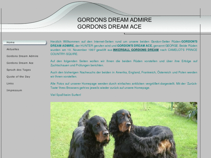 www.gordonsetter-timmy.com