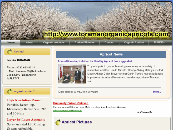 www.toramanorganicapricots.com