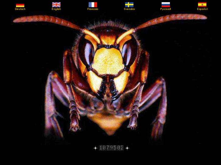 www.vespa-crabro.com