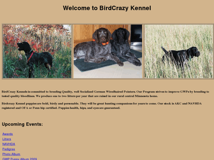 www.birdcrazykennel.com