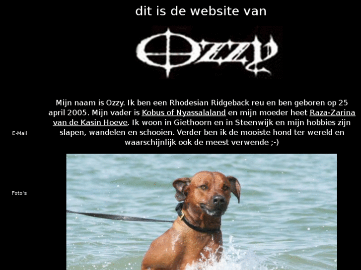 www.de-zwaan.com