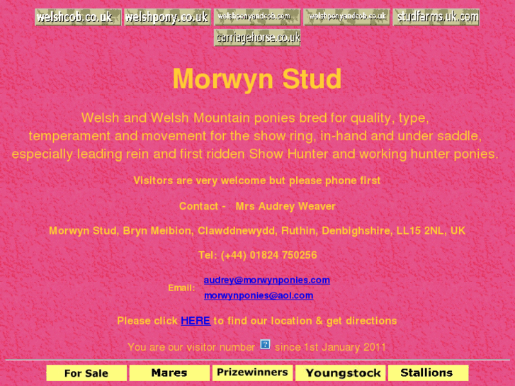 www.morwynponies.com