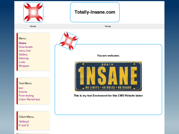 www.totally-insane.com