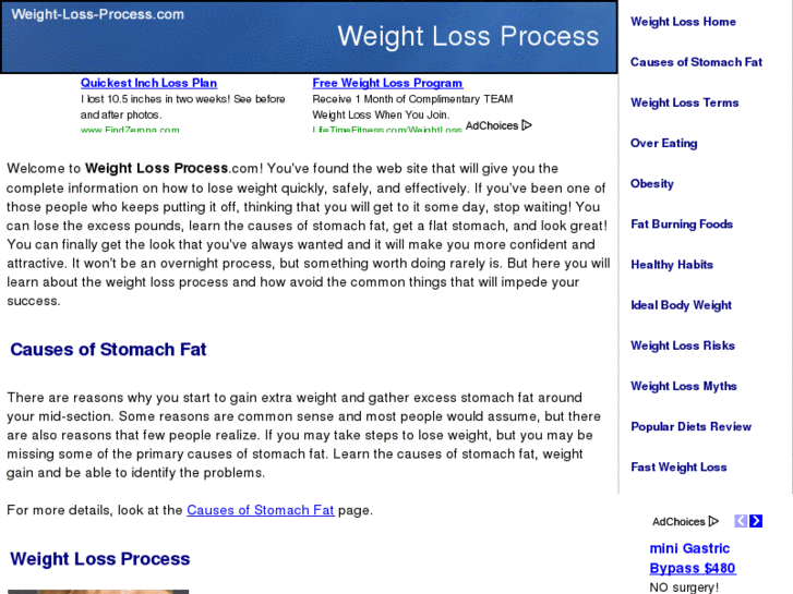 www.weight-loss-process.com