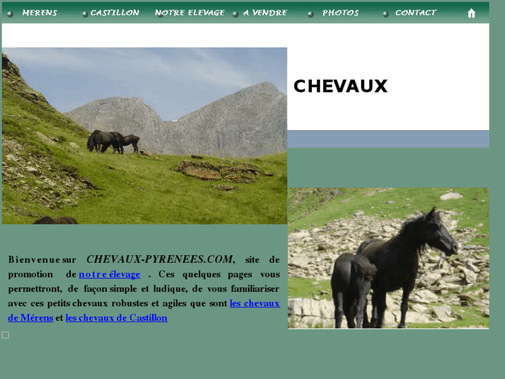 www.chevaux-pyrenees.com