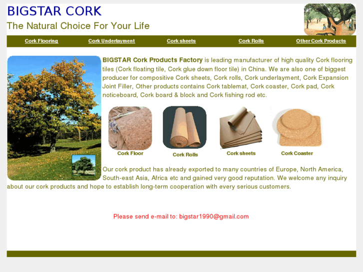 www.cork-flooring.com.cn