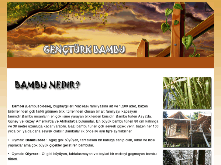 www.gencturkbambu.com