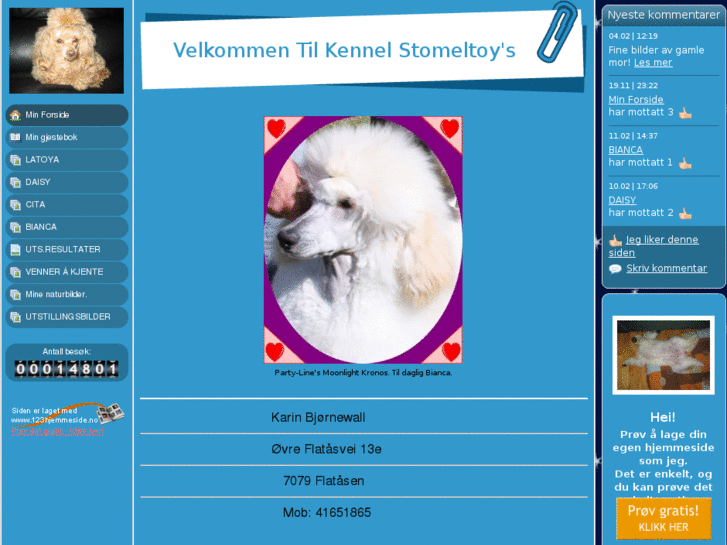 www.kennelstomeltoy.com