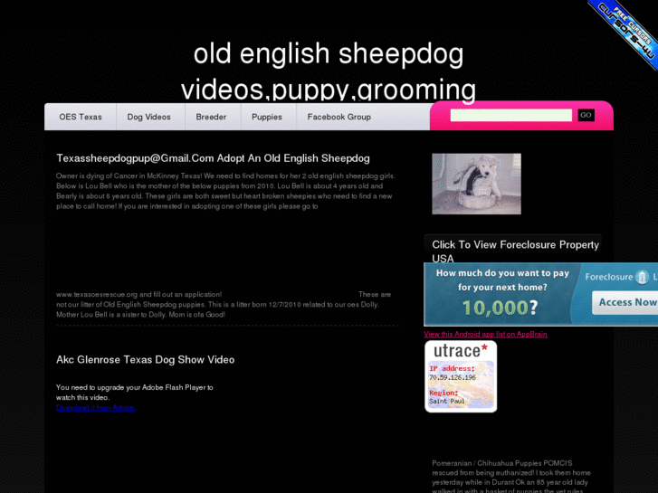 www.oldenglishsheepdogbreeder.com