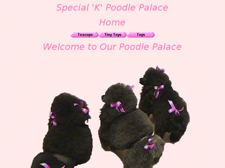 www.specialkpoodlepalace.com