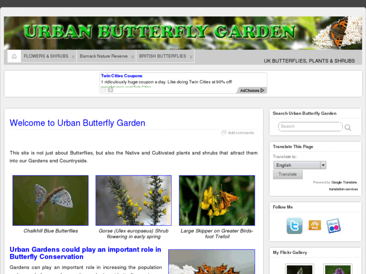 www.urbanbutterflygarden.com